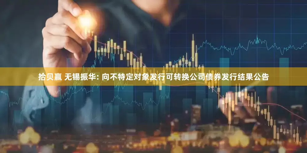 拾贝赢 无锡振华: 向不特定对象发行可转换公司债券发行结果公告