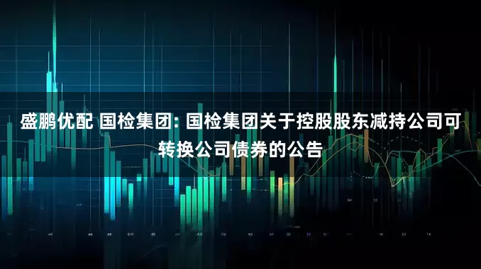 盛鹏优配 国检集团: 国检集团关于控股股东减持公司可转换公司债券的公告