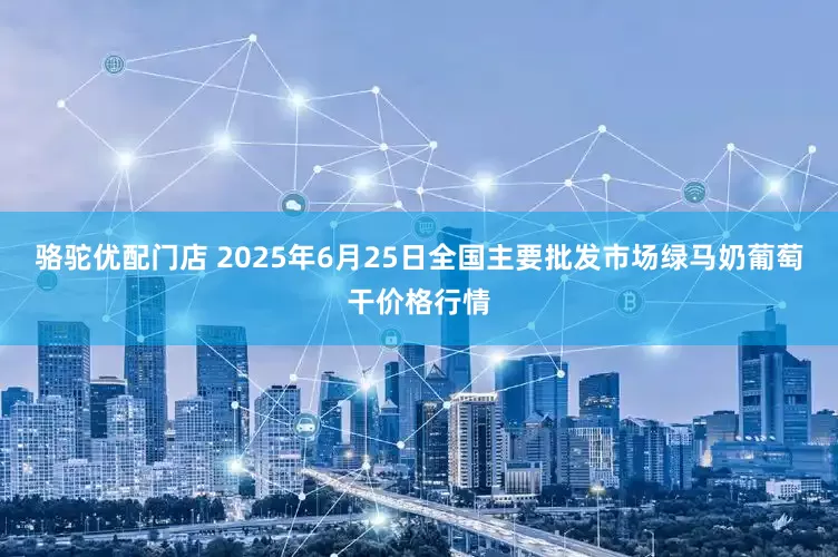 骆驼优配门店 2025年6月25日全国主要批发市场绿马奶葡萄干价格行情