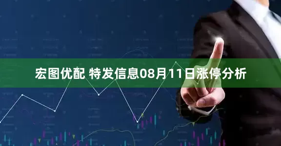 宏图优配 特发信息08月11日涨停分析